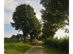  Nature Promenade dans la nature (Lontzen)