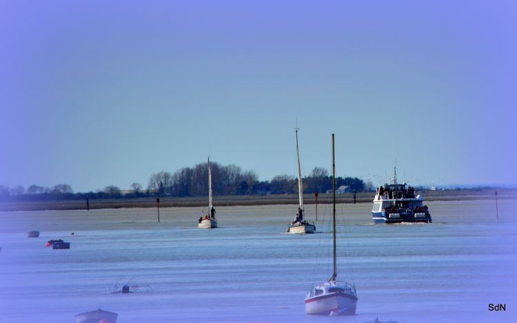 Fonds d'cran Nature Mers - Ocans - Plages DU CROTOY A ST VALERY