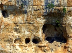  Nature ARDECHE