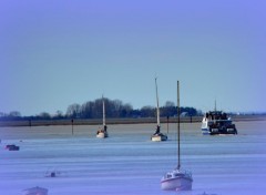  Nature DU CROTOY A ST VALERY