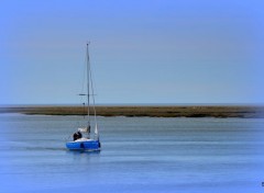  Nature DU CROTOY A ST VALERY