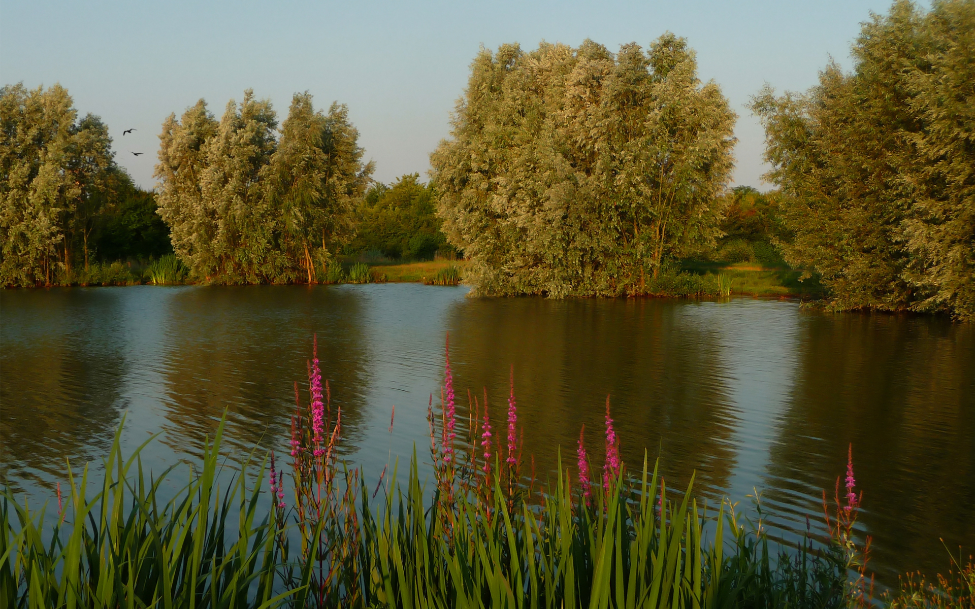 Wallpapers Nature Lakes - Ponds 