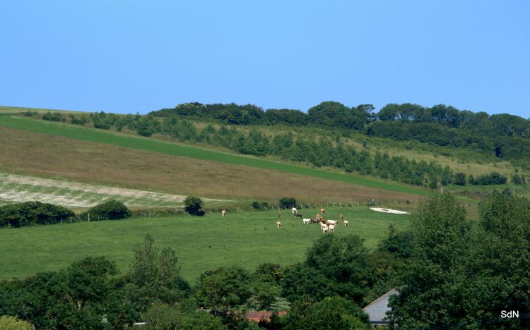 Wallpapers Nature Landscapes ENTRE LES DEUX CAPS  (Nord)