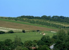  Nature ENTRE LES DEUX CAPS  (Nord)