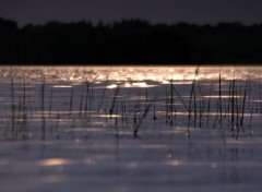  Nature H2 Canada dans sous ses tats