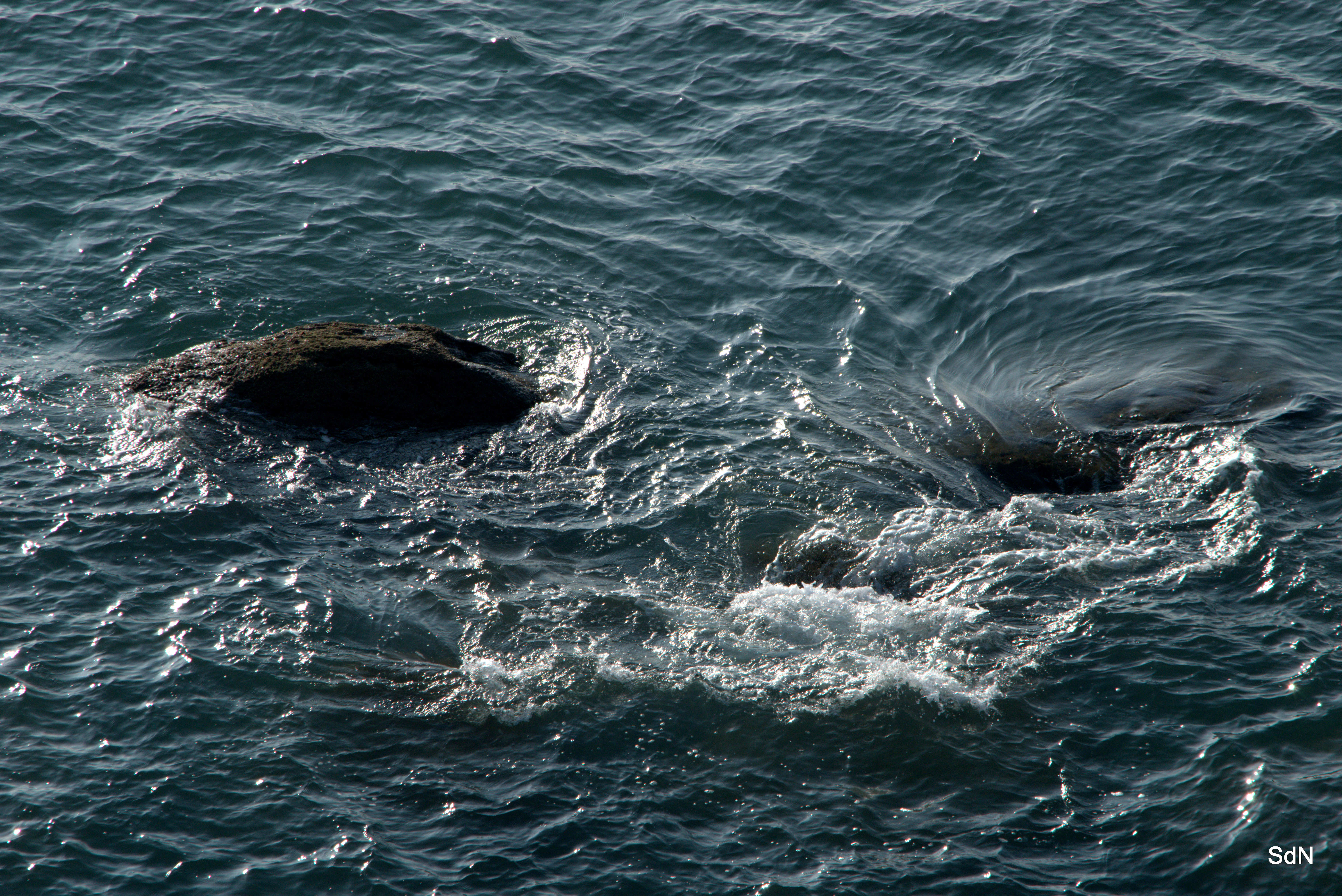 Fonds d'cran Nature Mers - Ocans - Plages LE CAP GRIZ NEZ  (nord)