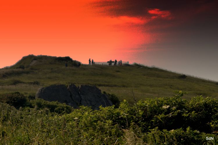 Wallpapers Nature Landscapes LE CAP GRIS NEZ (nord)