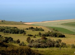  Nature LE CAP  GRIS NEZ (nord)