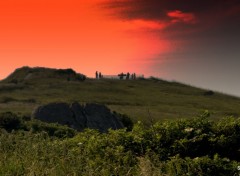  Nature LE CAP GRIS NEZ (nord)