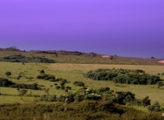  Nature LE CAP GRIS NEZ (nord)