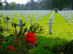  Voyages : Europe les plages du débarquement et le cimetière de colleville