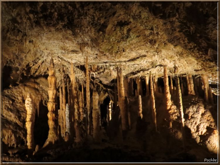 Fonds d'cran Nature Cavernes - Grottes Grottes de Han Sur Lesse (Be)