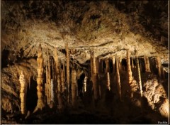  Nature Grottes de Han Sur Lesse (Be)