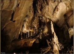  Nature Grottes de Han Sur Lesse (Be)