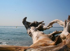  Nature plage Fréjus