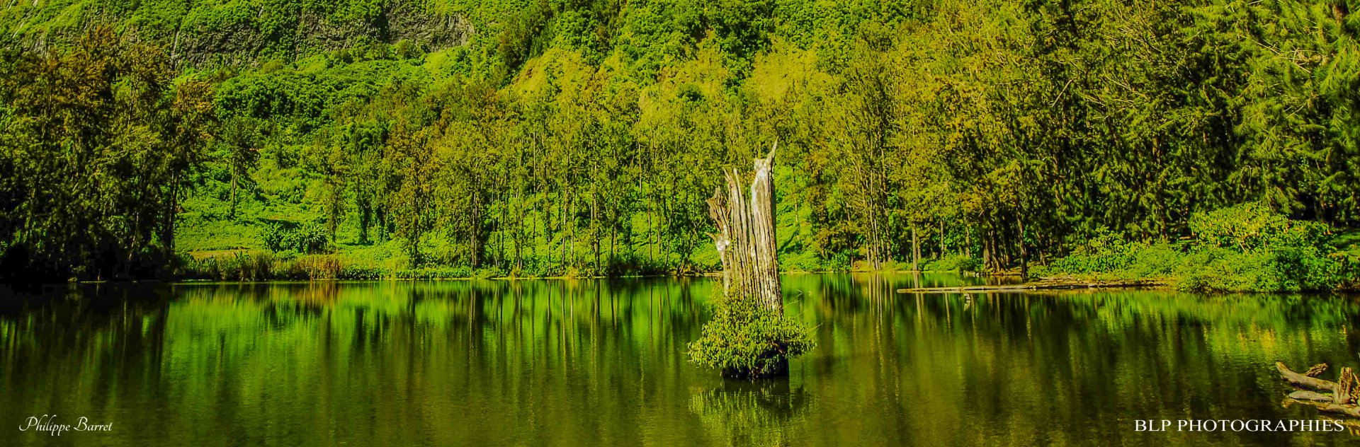 Fonds d'cran Nature Lacs - Etangs Mare à Poules d'Eau  -  Salazie