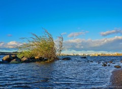  Nature Embouchure de la Rivire des Roches