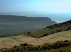  Nature LE CAP GRIS NEZ (nord)