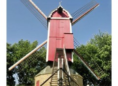  Trips : Europ Moulin "de nieuwe papegaai" ('le nouveau perroquet)- Bruges