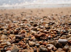  Nature plage Fréjus