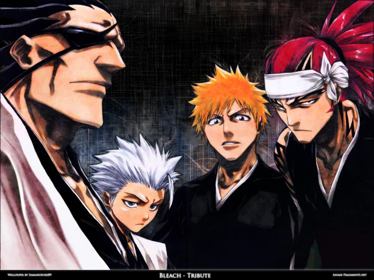 Wallpapers Manga Bleach Wallpaper N351391