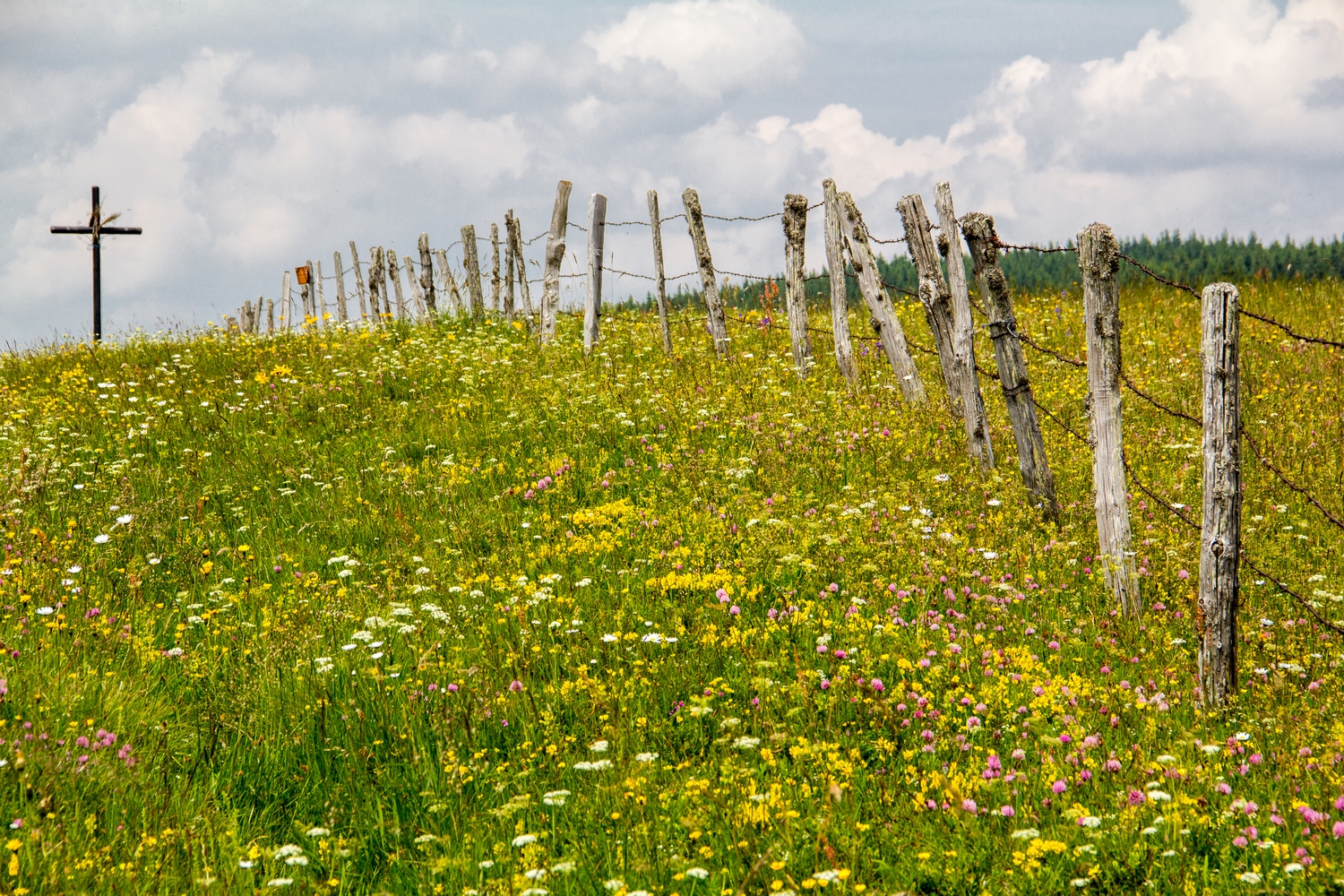 Fonds d'cran Voyages : Europe France > Languedoc-Roussillon l'Aubrac