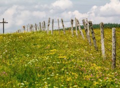  Voyages : Europe l'Aubrac