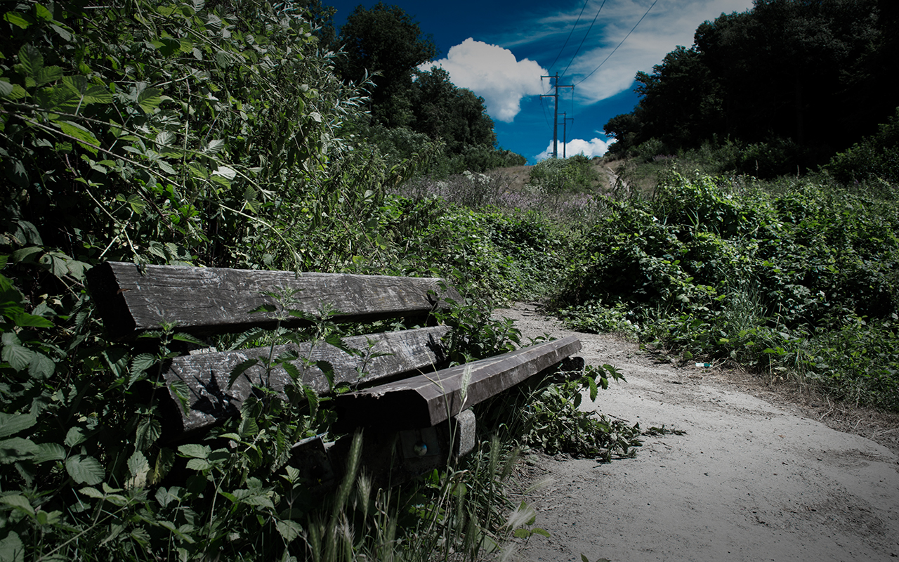 Fonds d'cran Nature Parcs - Jardins 