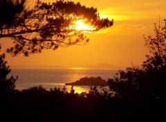  Nature plage des Dunes au couchant