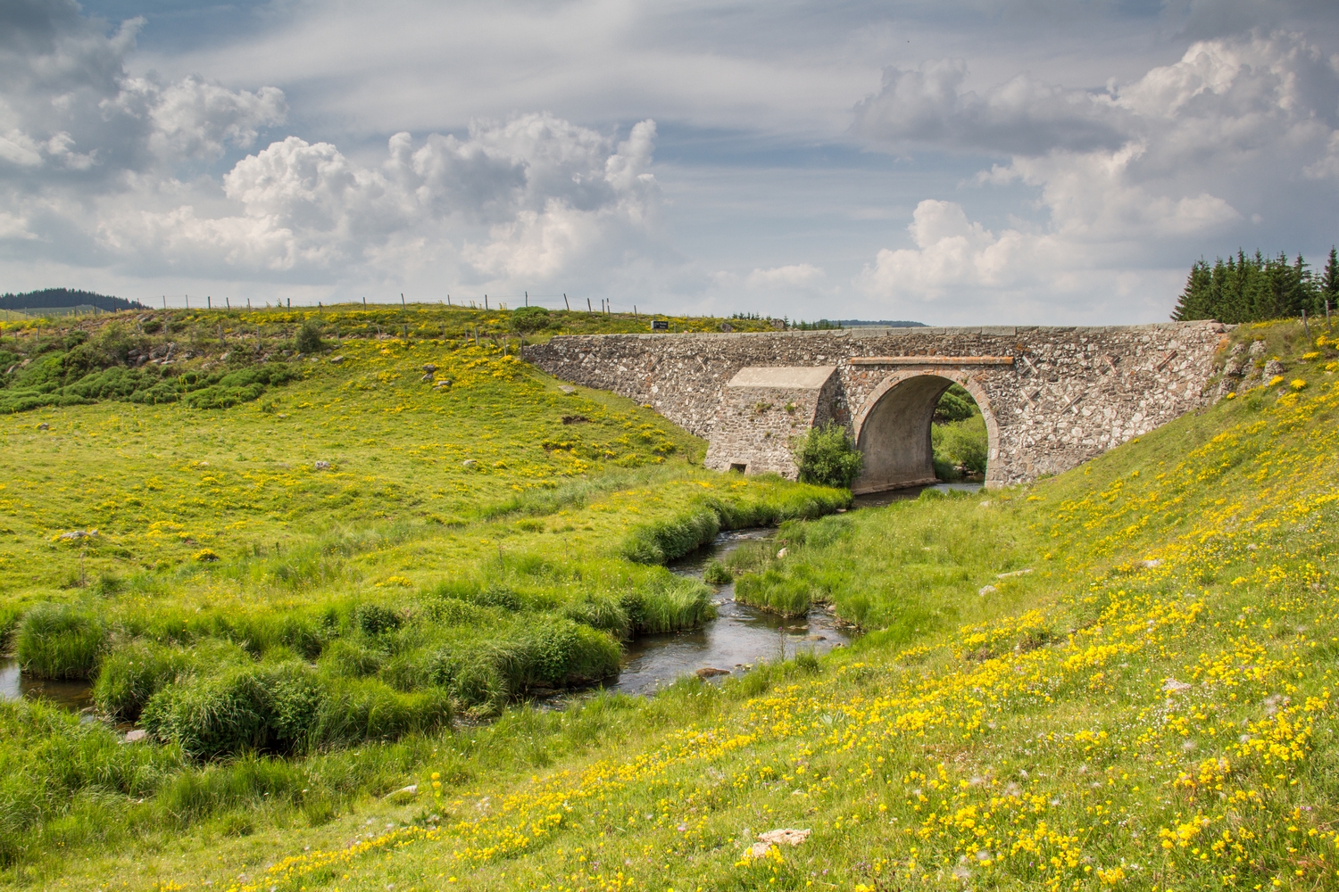 Fonds d'cran Voyages : Europe France > Languedoc-Roussillon les monts d'aubrac