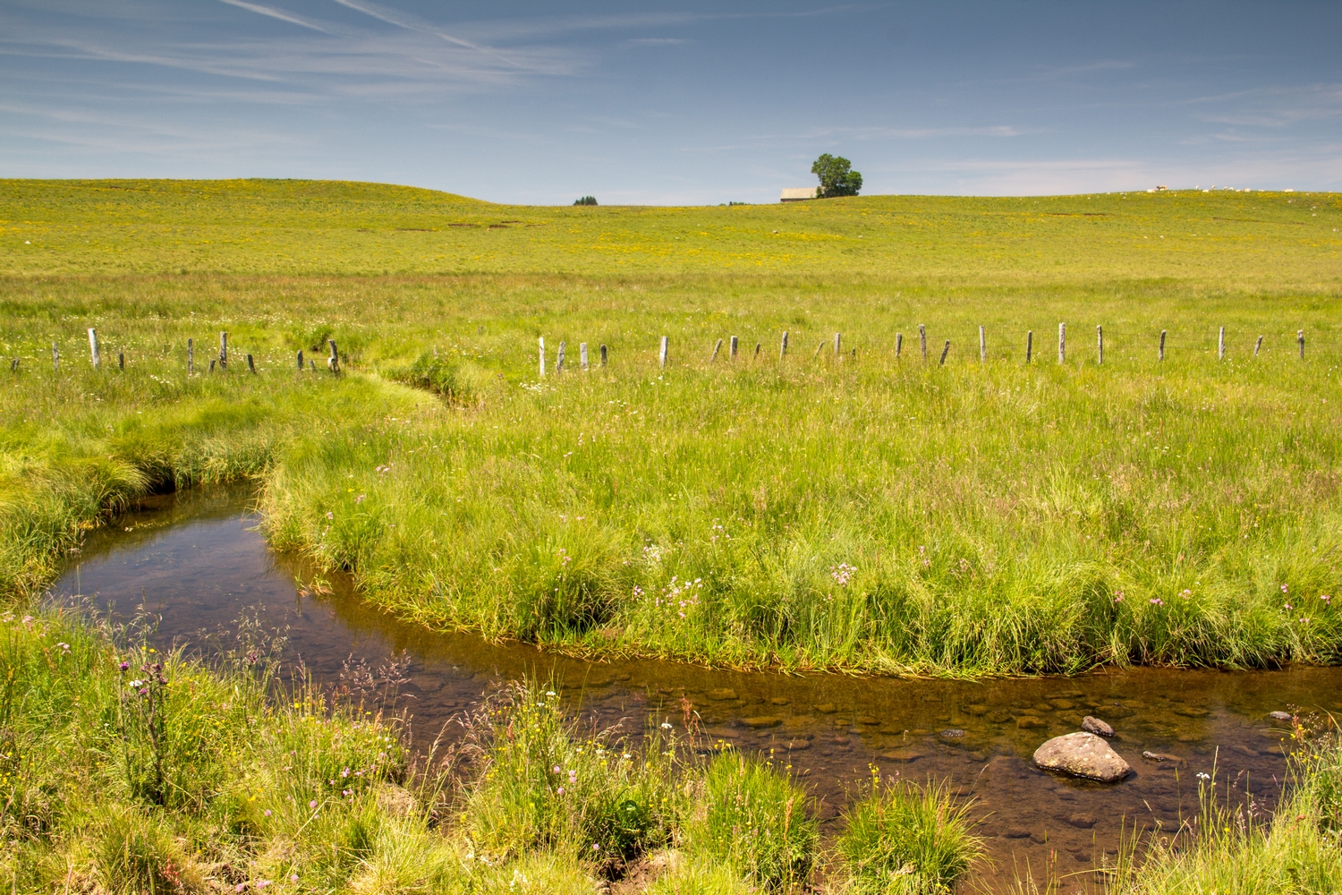 Wallpapers Trips : Europ France > Languedoc-Roussillon les monts d'aubrac