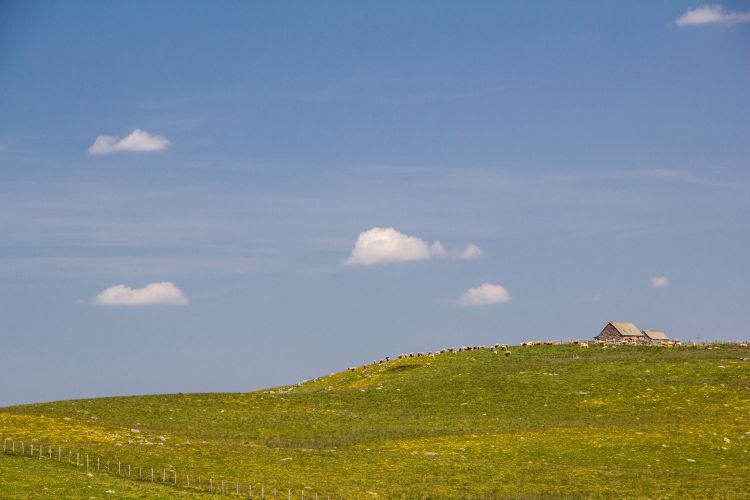 Fonds d'cran Voyages : Europe France > Languedoc-Roussillon les monts d'aubrac