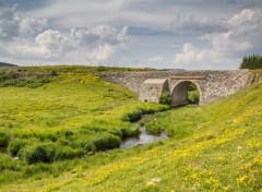  Voyages : Europe les monts d'aubrac