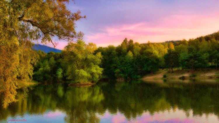 Fonds d'cran Nature Eau - Reflets Sur l'étang.