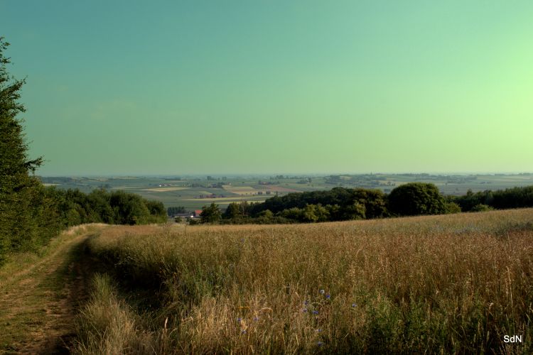 Fonds d'cran Nature Champs - Prairies MONT CASSEL-MONT KEMMEL