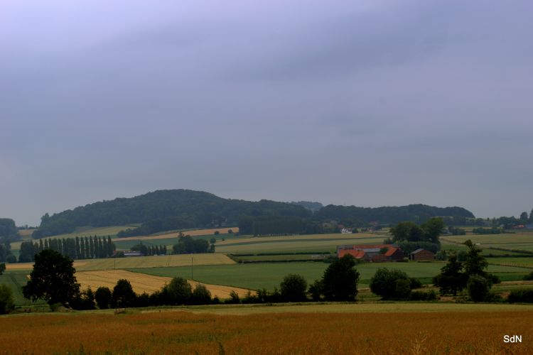 Wallpapers Nature Campaign MONT CASSEL-MONT KEMMEL