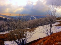  Nature ALSACE  COL DE LA SCHLUCHT