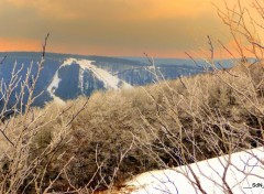  Nature ALSACE COL DE LA SCHLUCHT