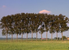  Nature MONT CASSEL-MONT KEMMEL