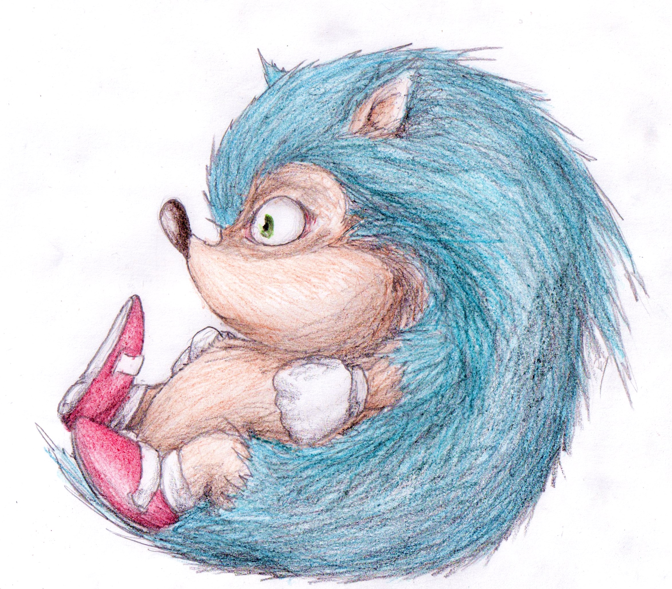 Fonds d'cran Art - Crayon Jeux Vido Sonic