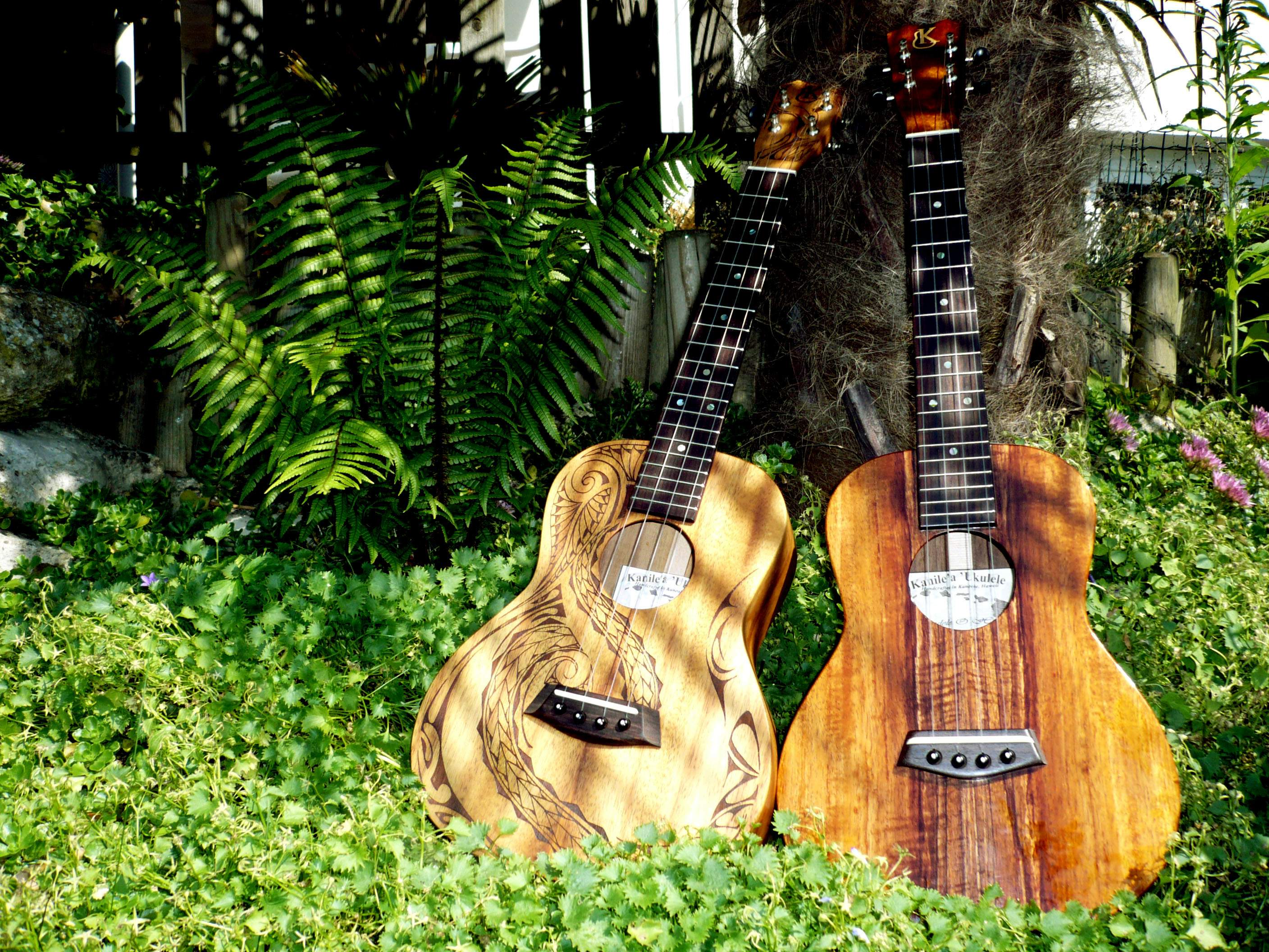 Fonds d'cran Musique Instrument - Ukuleles Kanile'a Ukulls