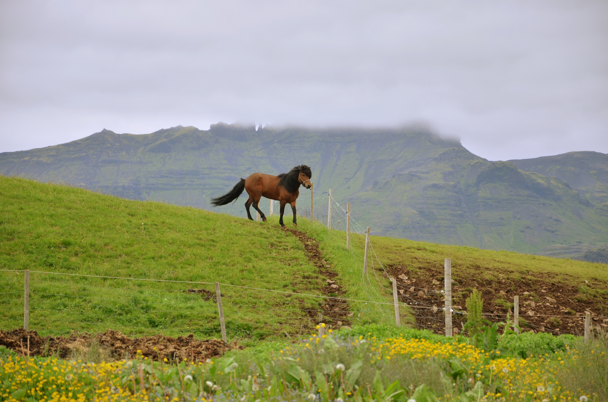 Fonds d'cran Voyages : Europe Islande Voyage en Islande