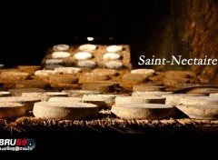  Trips : Europ Fromage Le St Nectaire