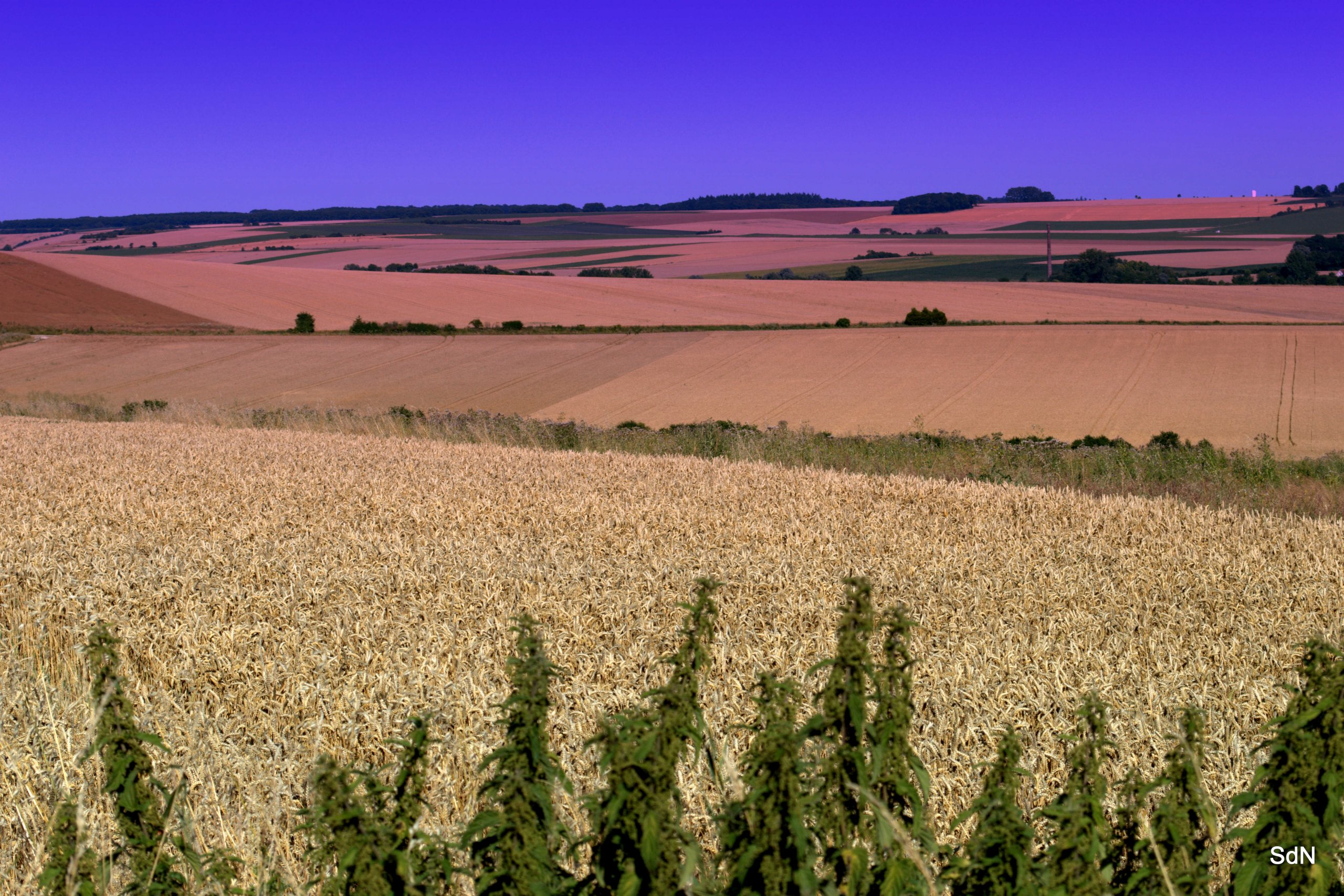 Fonds d'cran Nature Champs - Prairies 