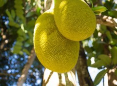  Nature Mayotte