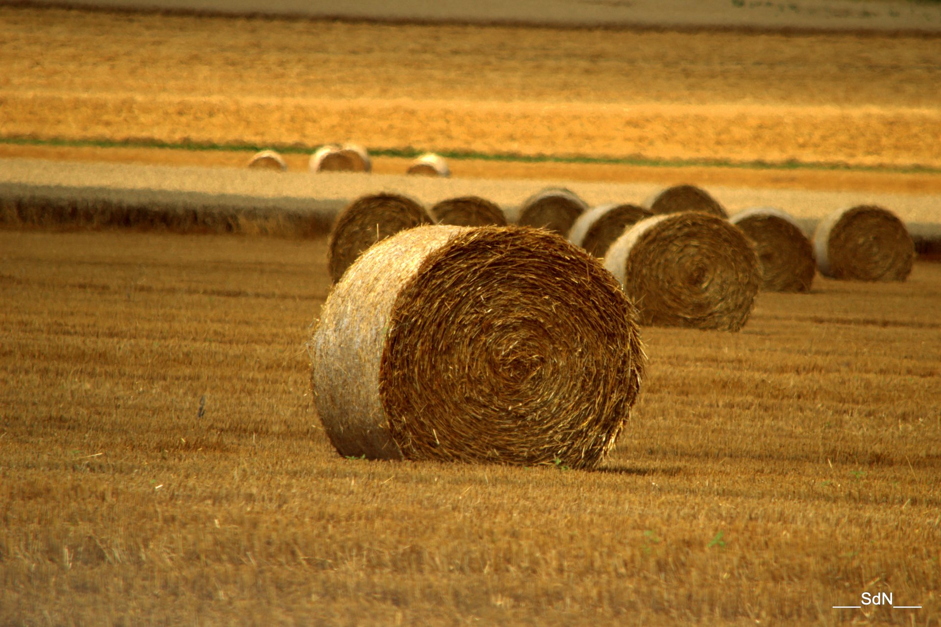 Fonds d'cran Nature Champs - Prairies 