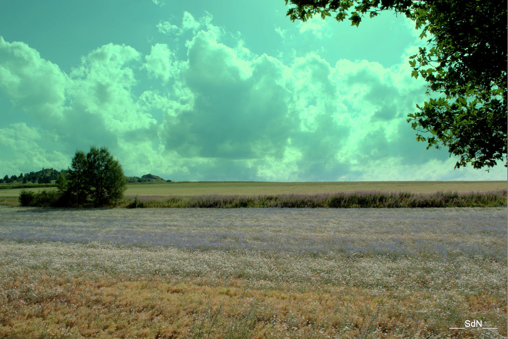 Wallpapers Nature Fields 