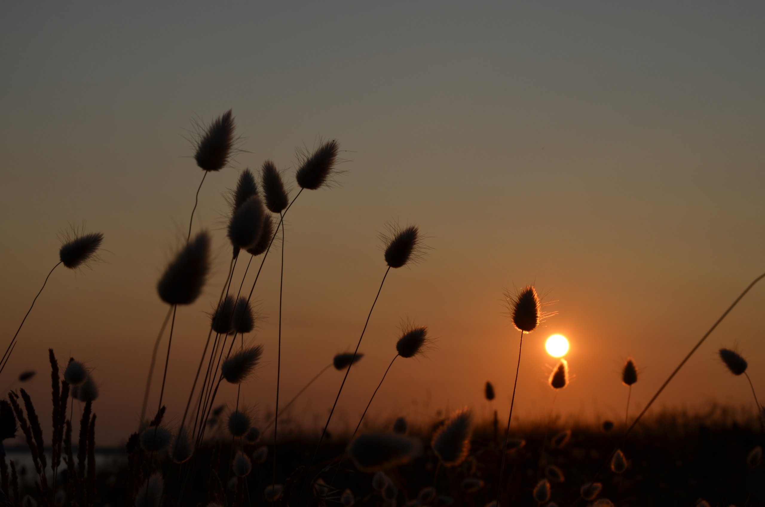 Wallpapers Nature Sunsets and sunrises coucher de soleil sur les dunes 