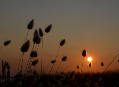  Nature coucher de soleil sur les dunes 