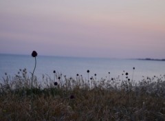  Nature coucher de soleil sur les dunes 